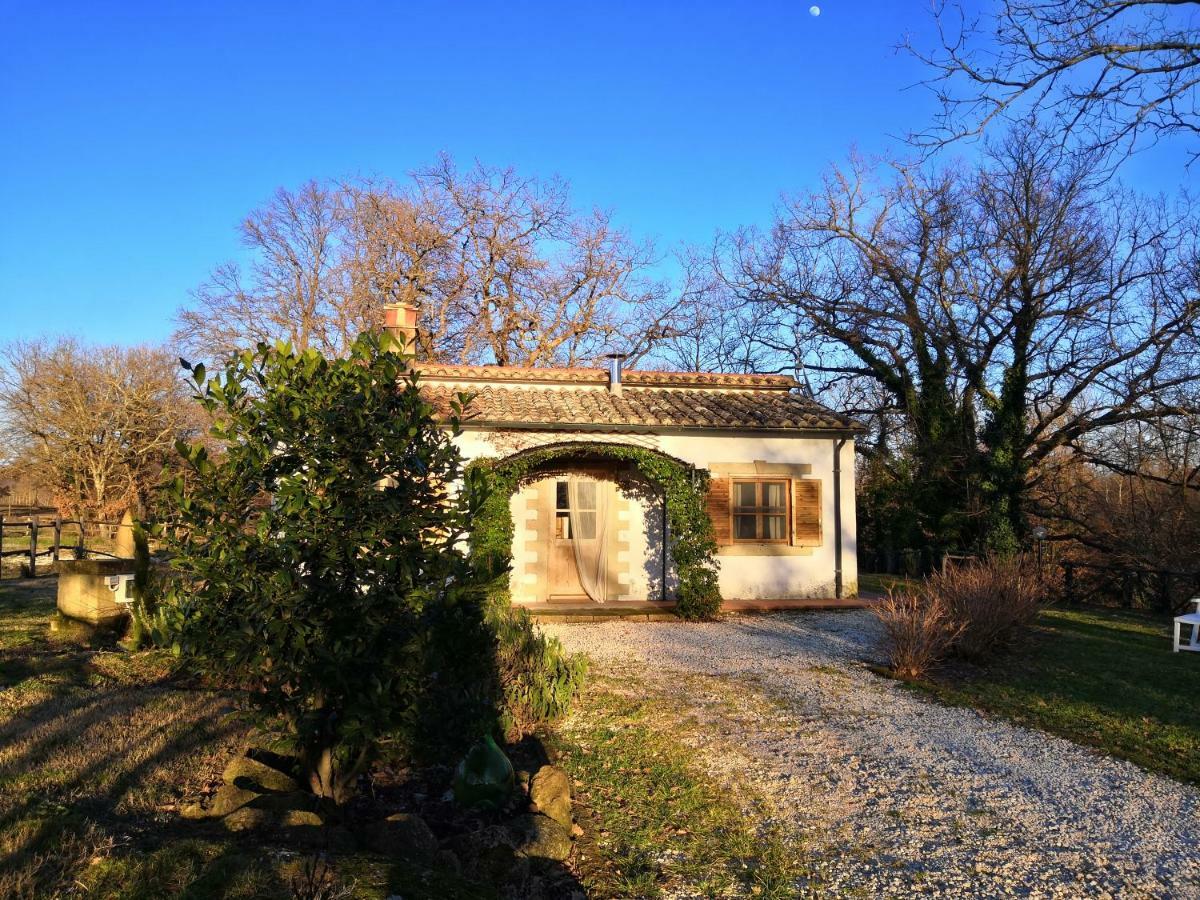 Maremma Country Chic Le Ginestre Villa Sovana Eksteriør billede