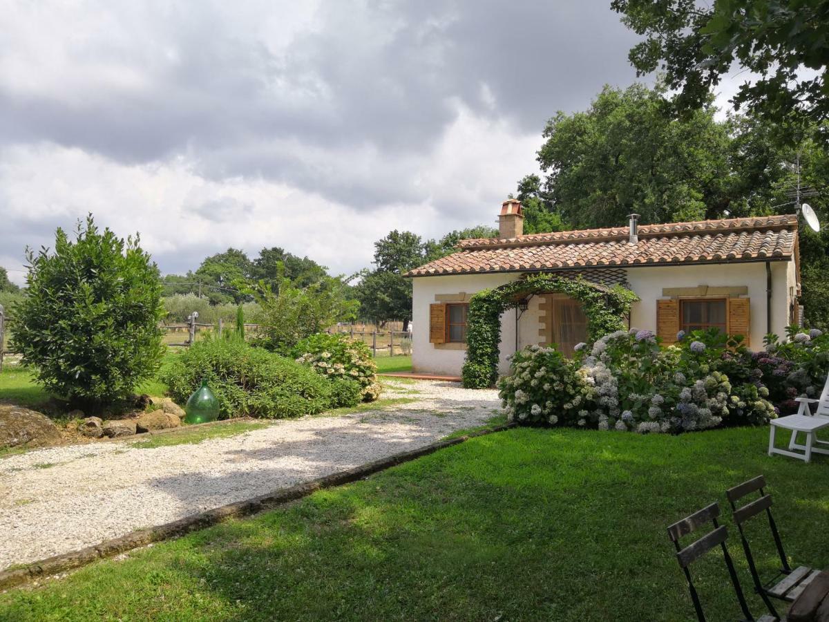 Maremma Country Chic Le Ginestre Villa Sovana Eksteriør billede